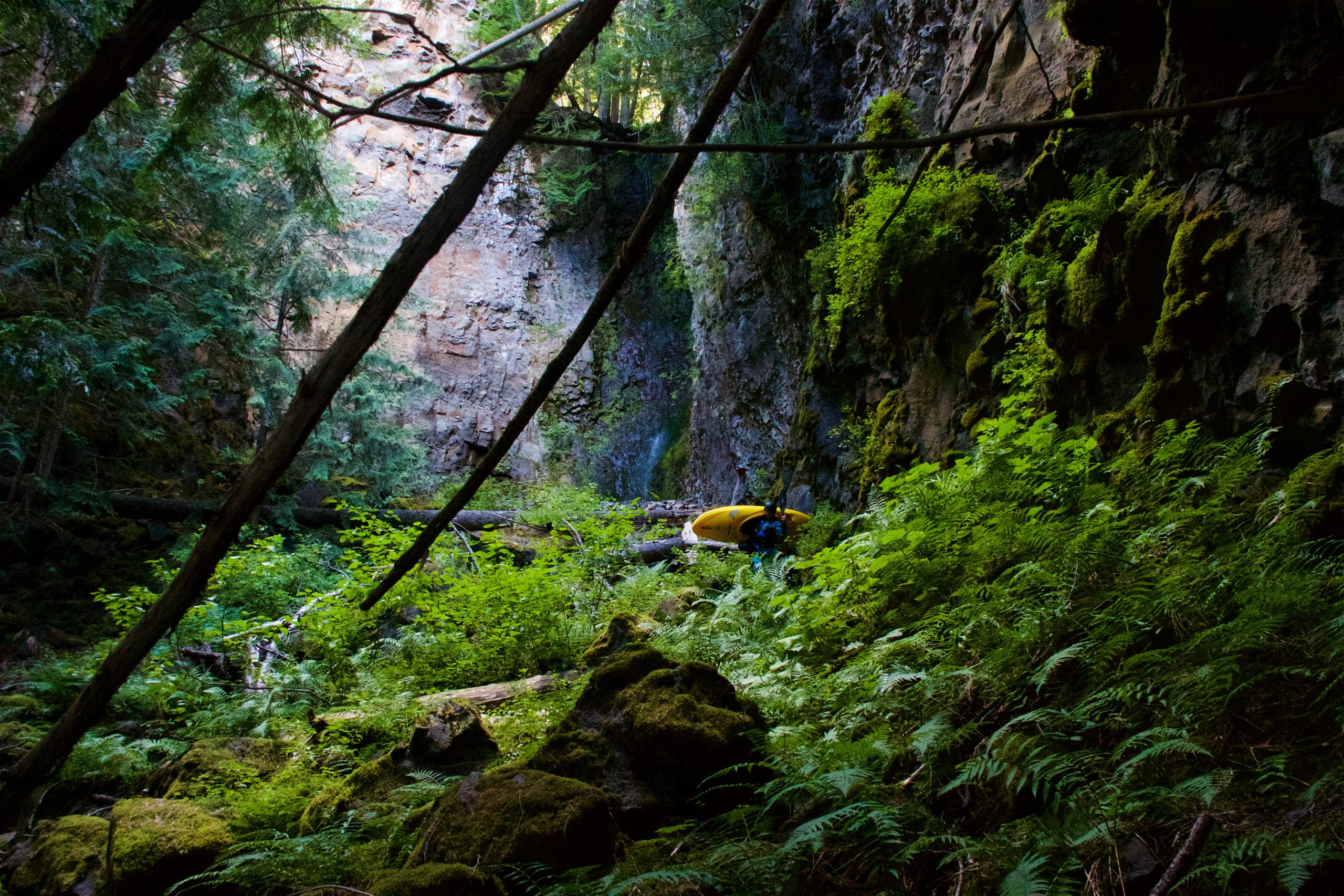 Whitewater Paddling